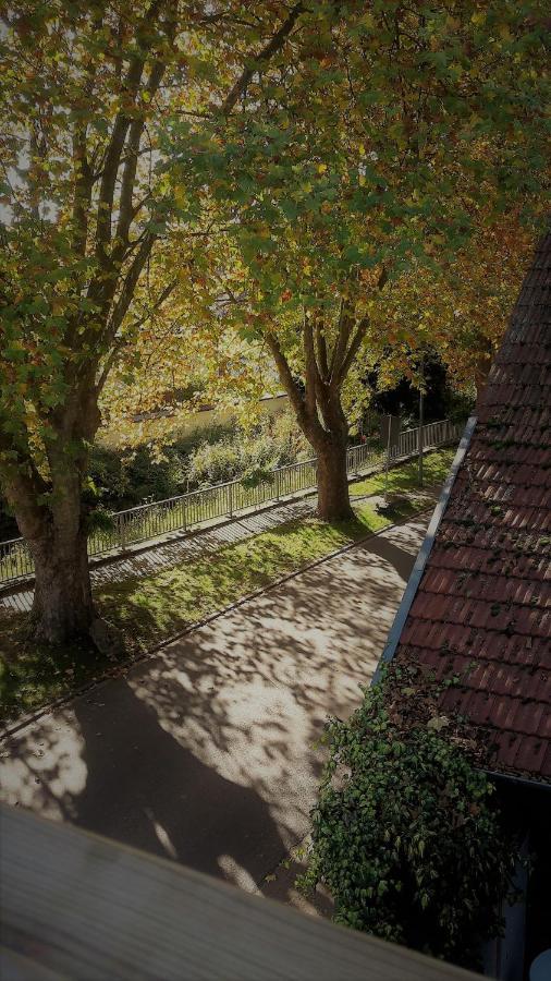 Haus Mit Seele Im Nahetal Weinsheim  Екстер'єр фото