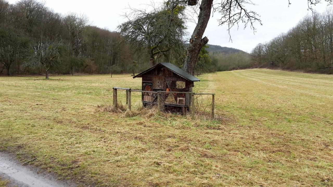 Haus Mit Seele Im Nahetal Weinsheim  Екстер'єр фото