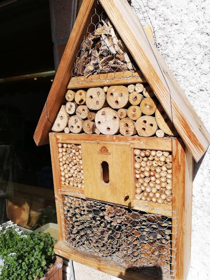 Haus Mit Seele Im Nahetal Weinsheim  Екстер'єр фото