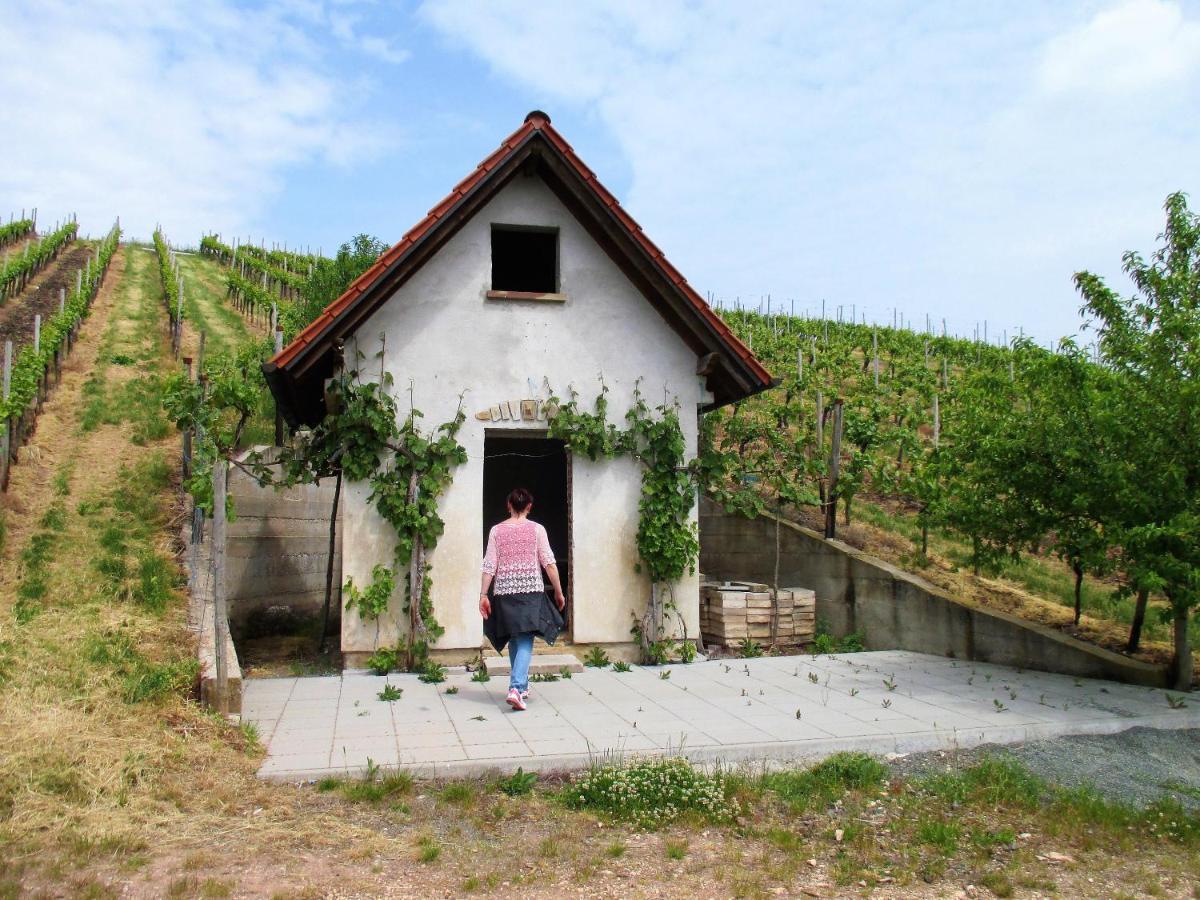 Haus Mit Seele Im Nahetal Weinsheim  Екстер'єр фото