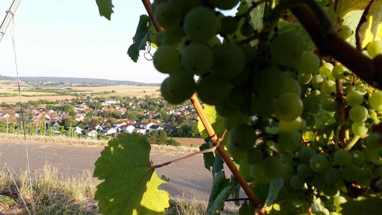 Haus Mit Seele Im Nahetal Weinsheim  Екстер'єр фото